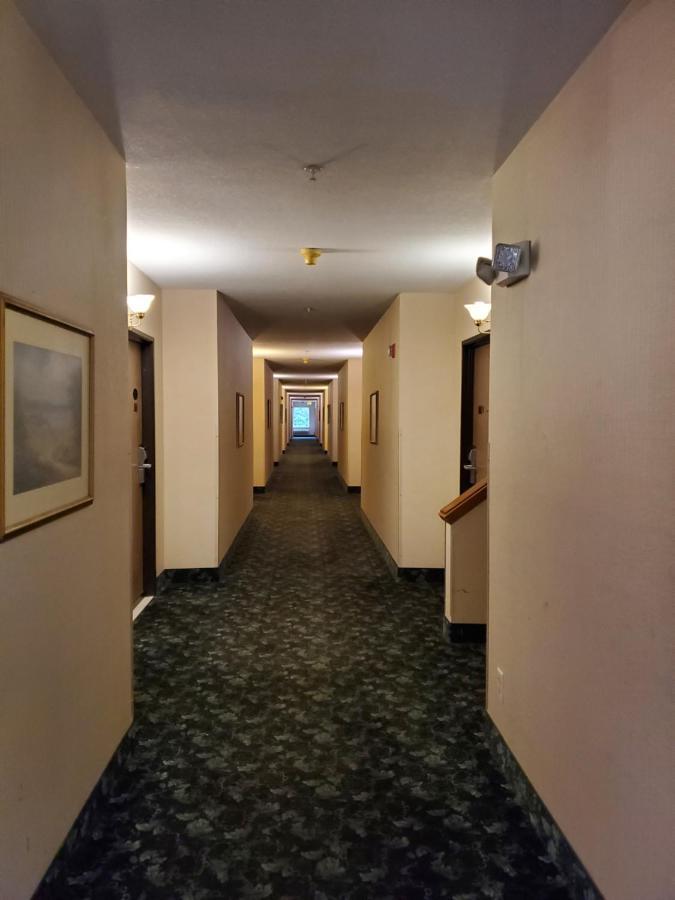 Bellis Inn Белингам Екстериор снимка