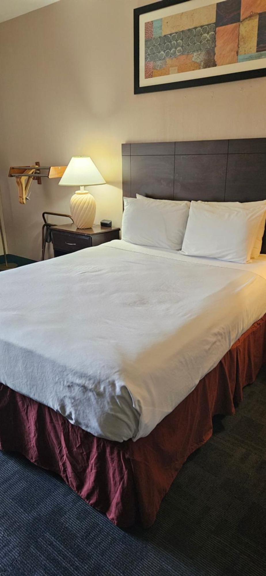 Bellis Inn Белингам Екстериор снимка