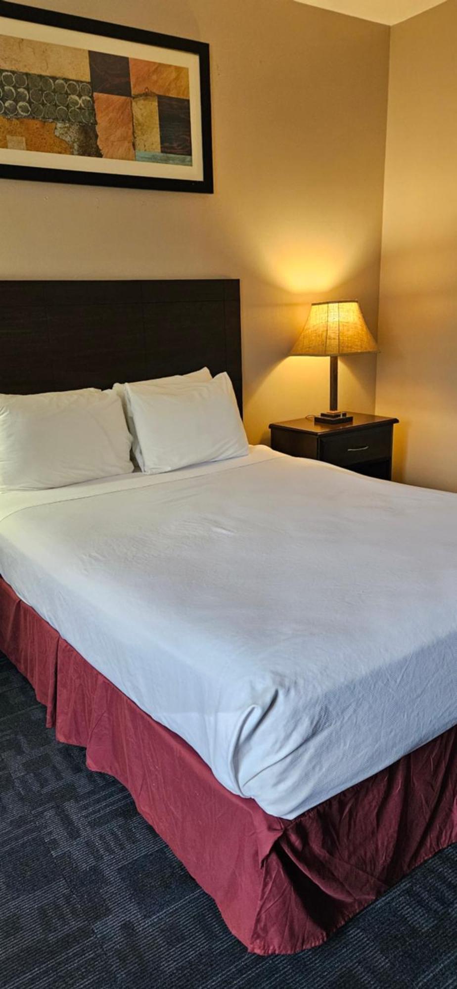 Bellis Inn Белингам Екстериор снимка