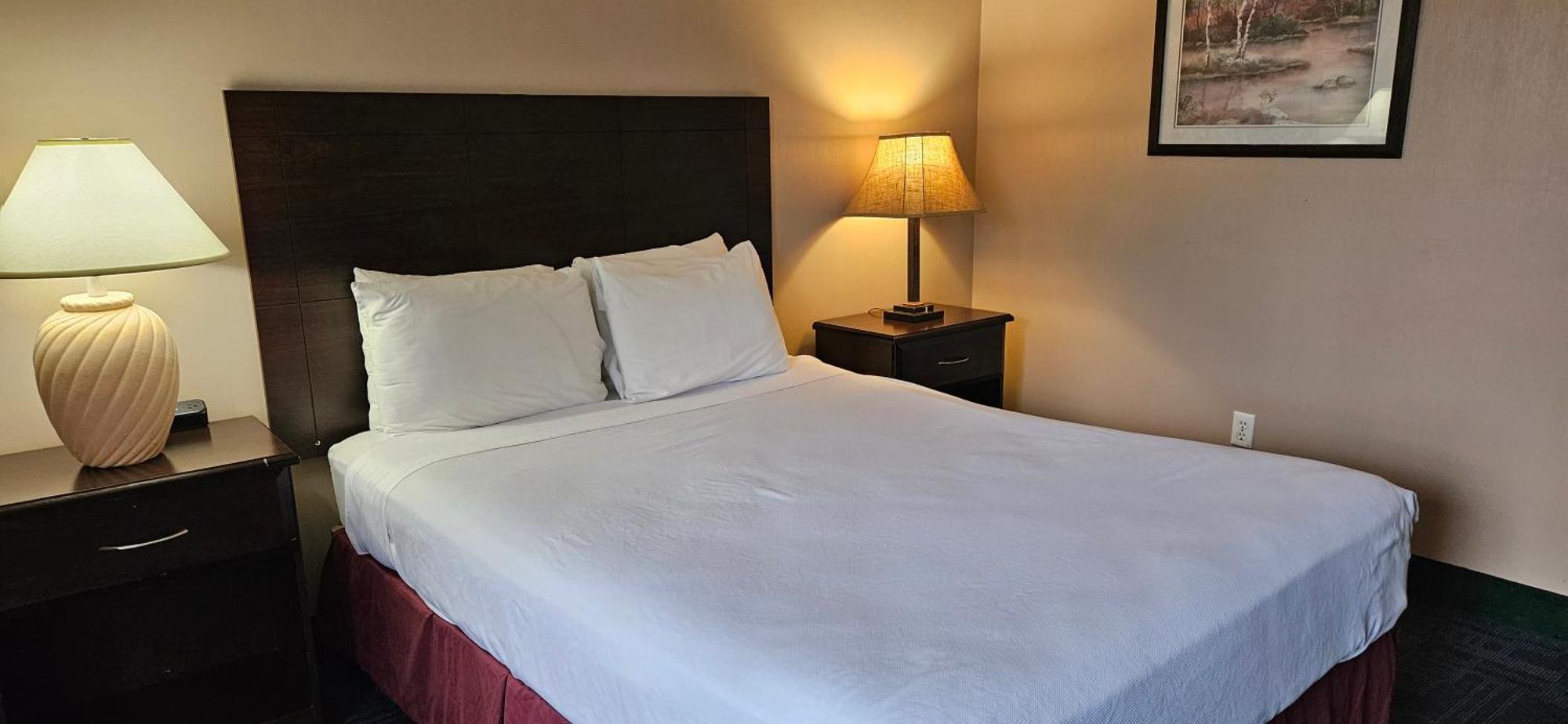 Bellis Inn Белингам Екстериор снимка